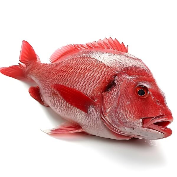 Pargo Rojo de Altamar Eviscerado Listo para Asar - 7 libras *Calidad Primera
