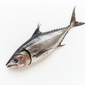 Sierra Pescado Entero de Mar Limpio y Fresco - 6.5 lb