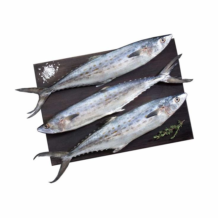 Sierra Pescado Entero de Mar Limpio y Fresco - 6 libras